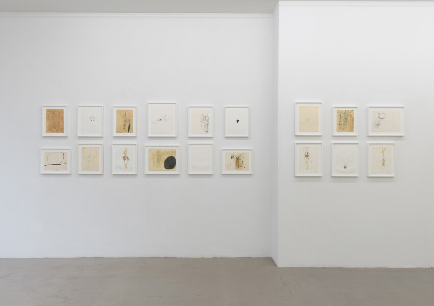 Special Feature for Art Basel 2024